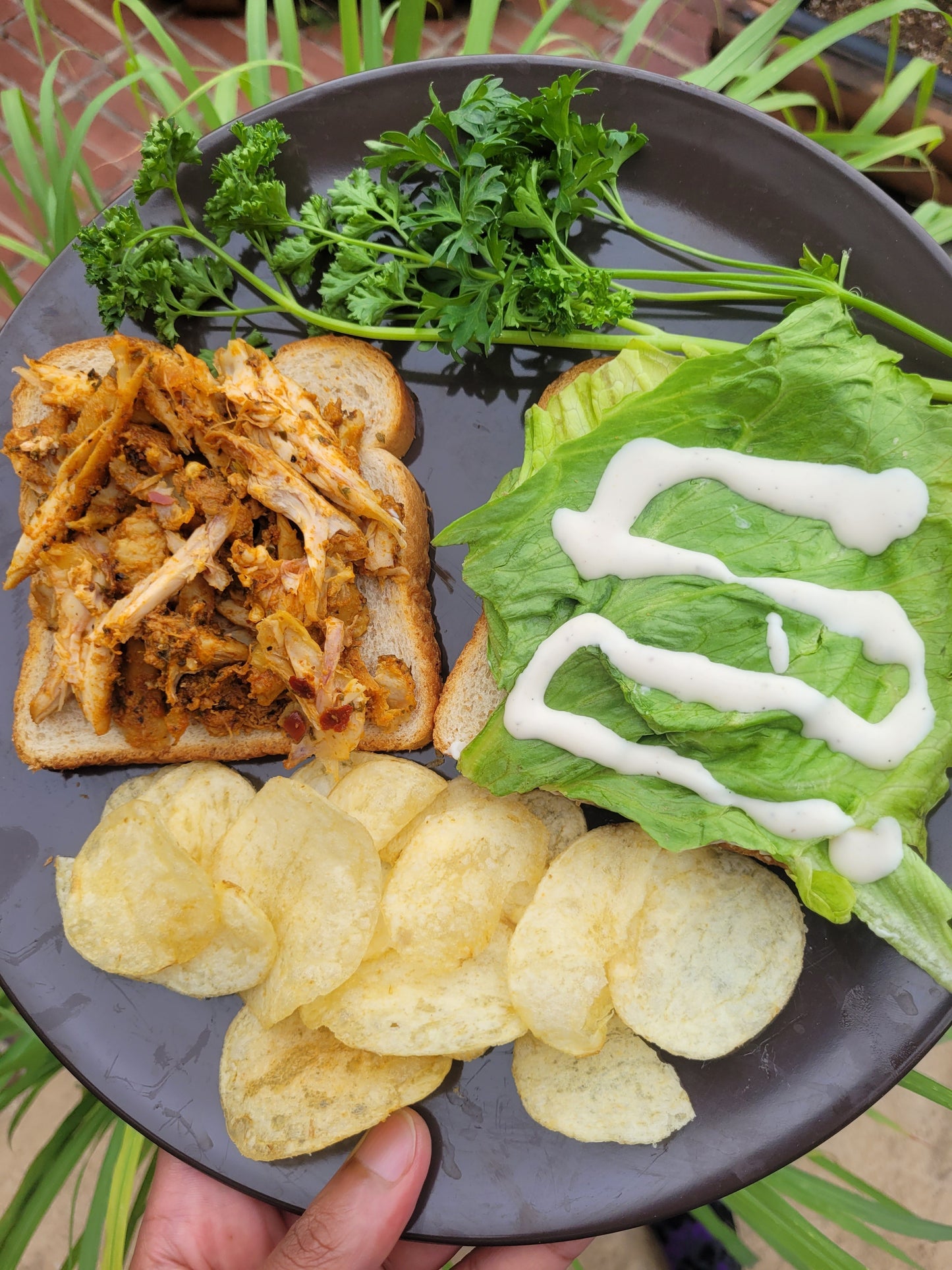 Spicy Portuguese Pulled Chicken Sandwich